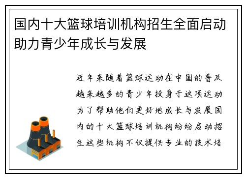 国内十大篮球培训机构招生全面启动助力青少年成长与发展