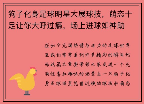 狗子化身足球明星大展球技，萌态十足让你大呼过瘾，场上进球如神助
