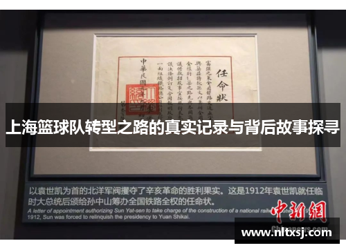 上海篮球队转型之路的真实记录与背后故事探寻
