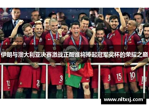 伊朗与澳大利亚决赛激战正酣谁将捧起冠军奖杯的荣耀之巅