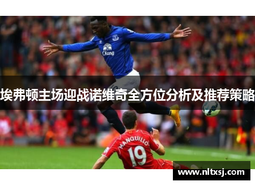 埃弗顿主场迎战诺维奇全方位分析及推荐策略