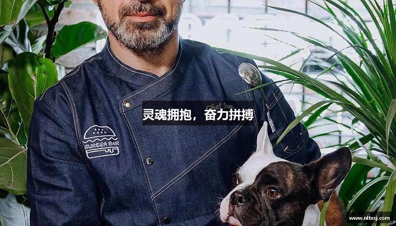 DG视讯官方网站灵魂拥抱，奋力拼搏